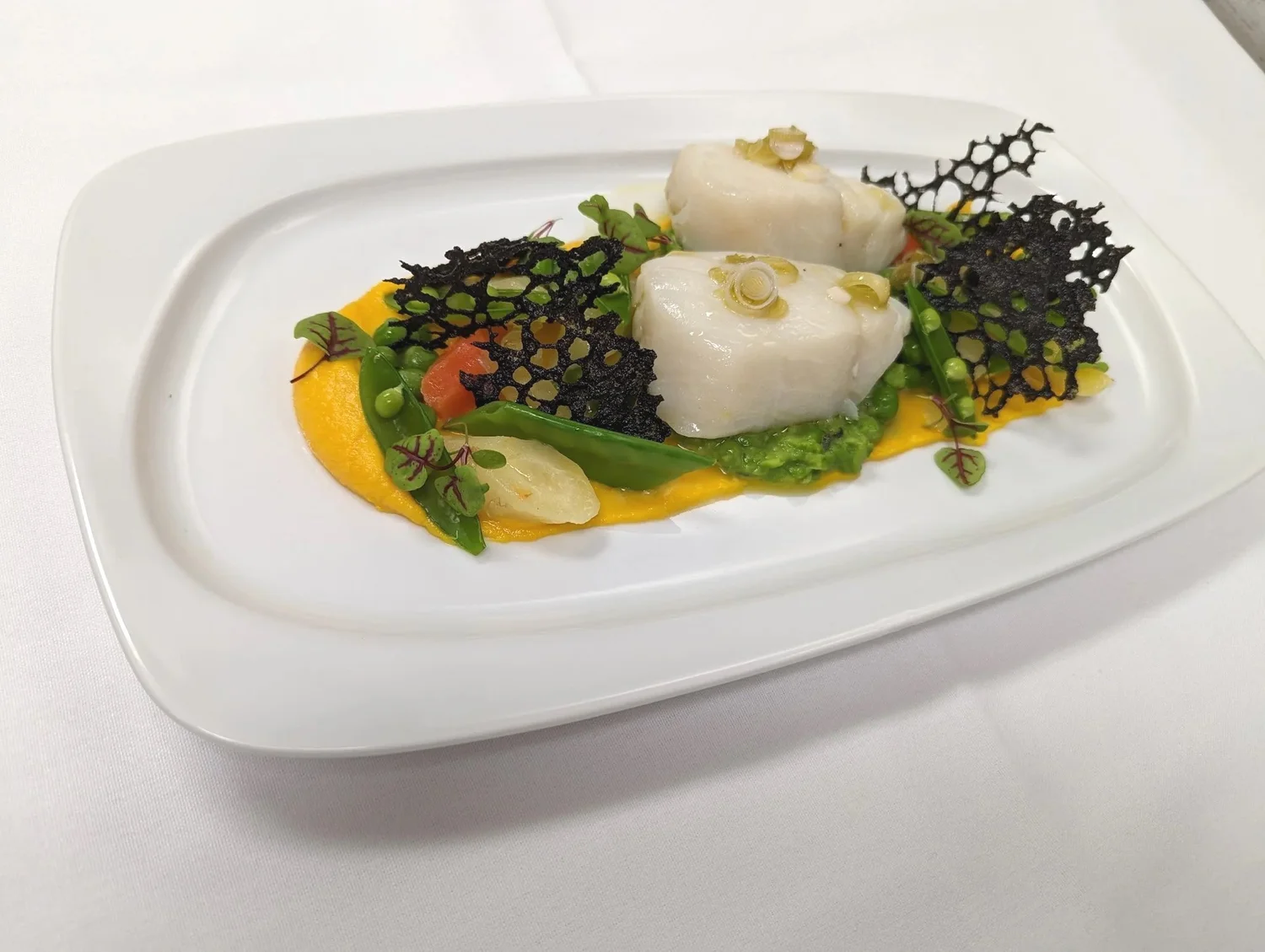 Halibut